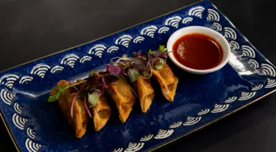 Chicken Gyoza