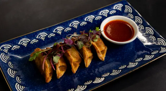 Chicken Gyoza
