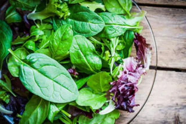 Green Salad