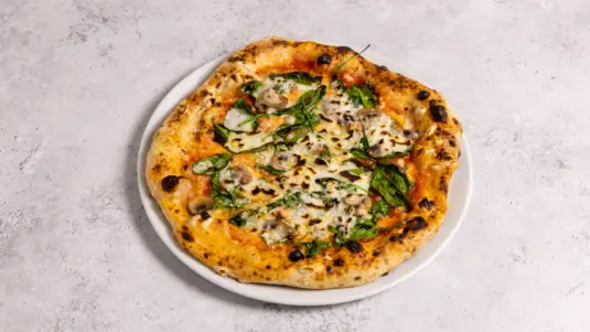 Vegana - Gordos Collection in Hackney Wick E9