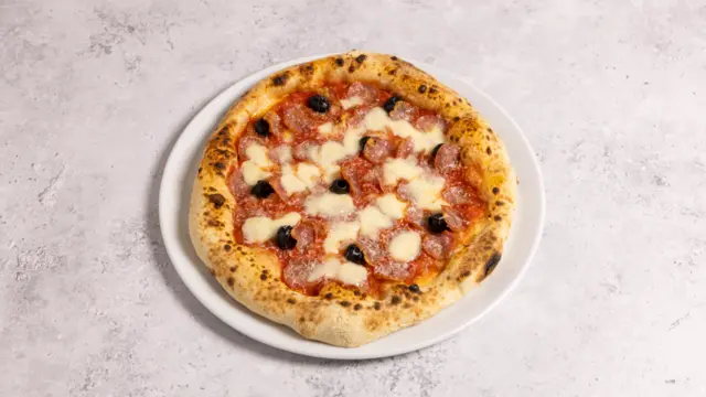 Sarda