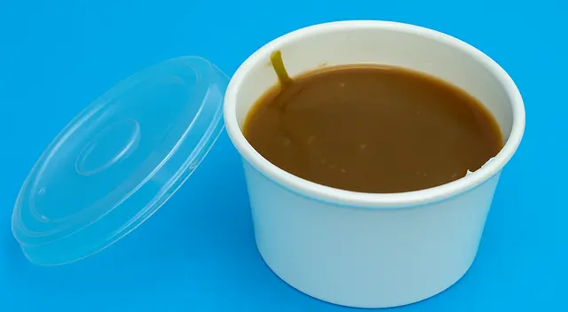 Gravy Sauce