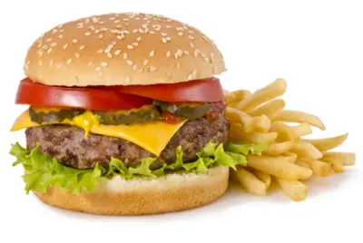 Half Pounder Hunger Buster with Chips