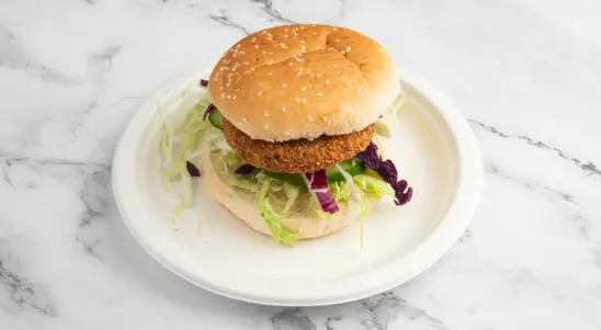 Vegi Burger - Kebabs Collection in Lower Illey B62