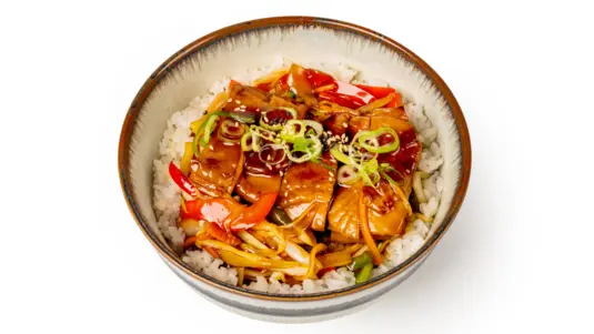 TERIYAKI CHICKEN WITH RICE - Japanese Food Collection in Steeple View SS15