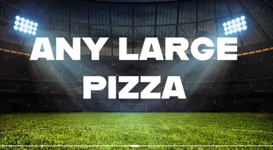 ANY LARGE PIZZA