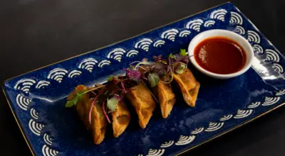 Veg Gyoza