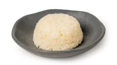 PLAIN RICE