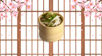 Udon Noodles