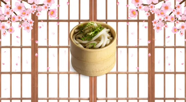 Udon Noodles