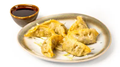 VEGETABLE GYOZA
