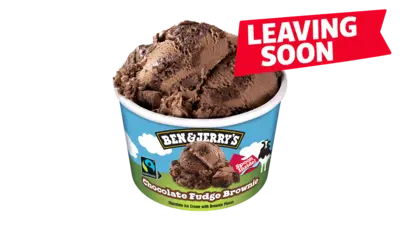 Chocolate Fudge Brownie