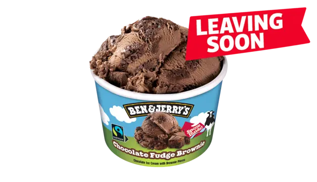Chocolate Fudge Brownie