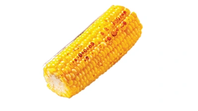 Corn on the Cob