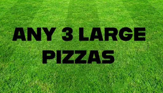 3 LARGE PIZZAS