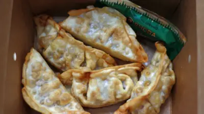 Chicken Gyoza