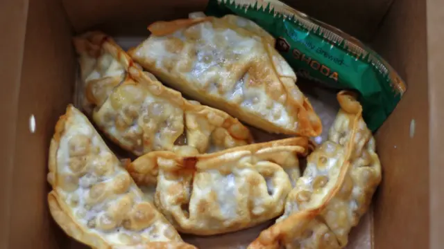 Chicken Gyoza