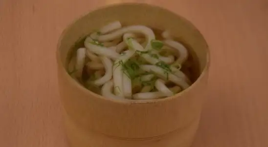 Udon Noodles