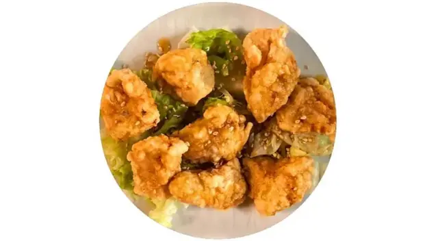 11. Honey Garlic Chicken Breast Dices