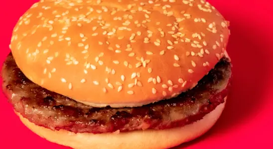 Plain Burger - Kebabs Collection in Brimpton RG7