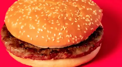 Plain Burger