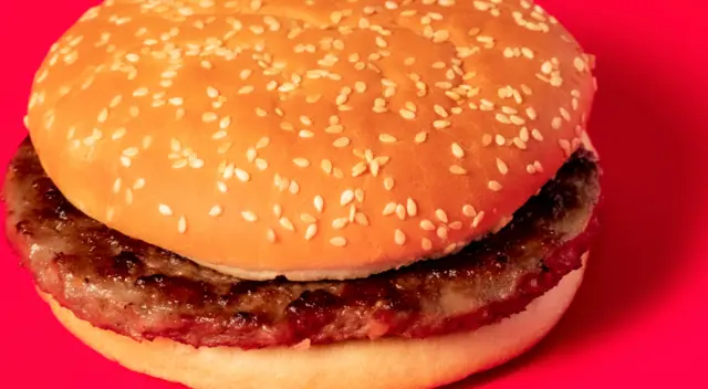 Plain Burger