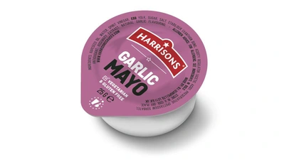 Garlic & Mayo Dip
