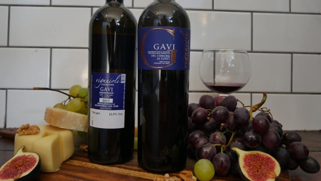 Gavi di Gavi, Dario Bergaglio, Piemonte 2020 ABV 12.5%
