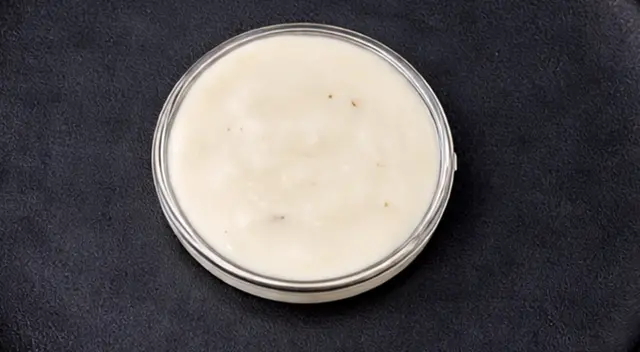 Mayo