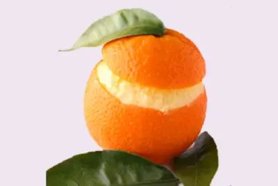 Orange Surprise